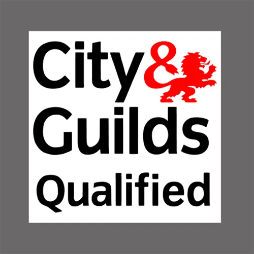city and guilds level 3 qualified logo